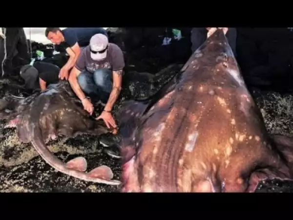 Video: BIGGEST Moments in Fishing History